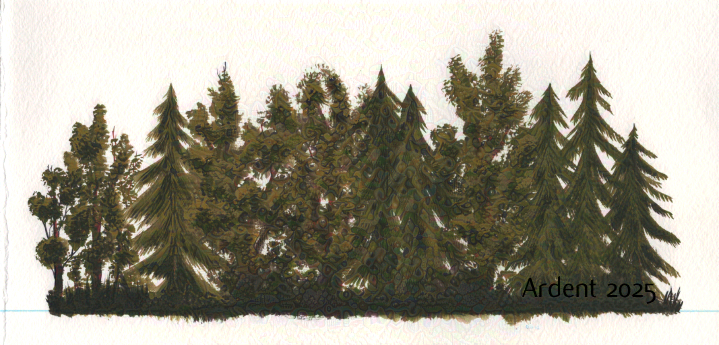 An acrylic painting of a lot of North American Trees.